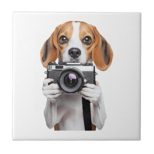 Azulejo Beagle