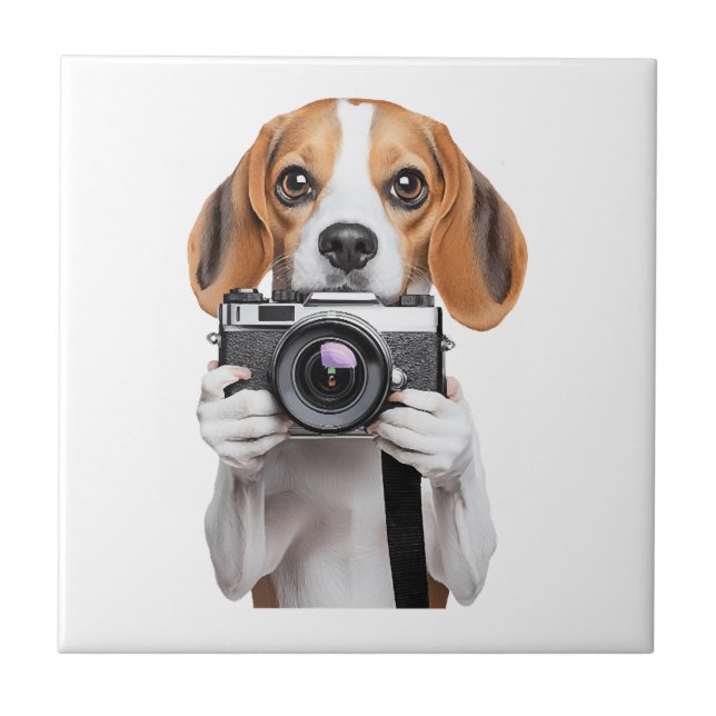 Azulejo Beagle (Frente)