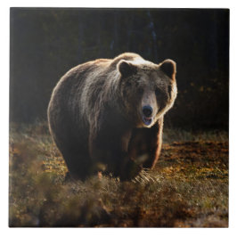 Azulejo Bear Tile Cerámico