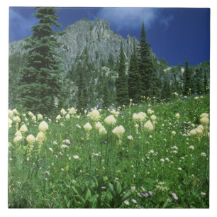 Azulejo Beargrass en el lago Eunice, Mt. Rainier NP, WA,