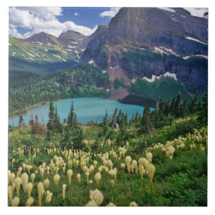 Azulejo Beargrass sobre el lago Grinnell en Many