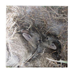 Azulejo Bebé salvaje Bunnies Tile
