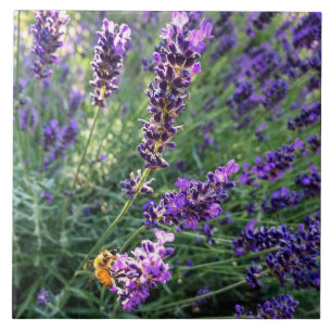 Azulejo Bee & Lavender