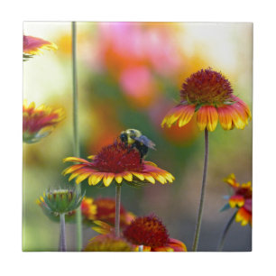 Azulejo Bee on Gaillardia