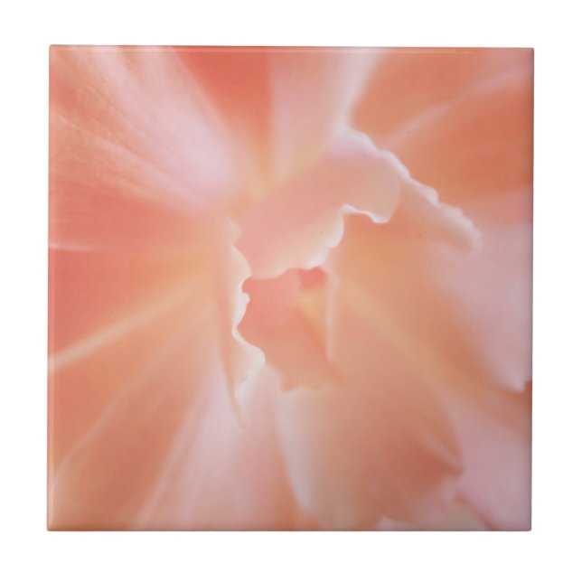 Azulejo Begonia coloreada salmones suaves magníficos (Frente)