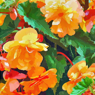AZULEJO BEGONIAS