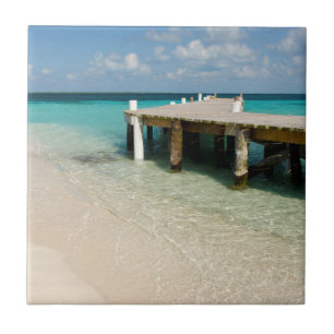 Azulejo Belice, Mar Caribe, Cayo Goff. Una pequeña isla