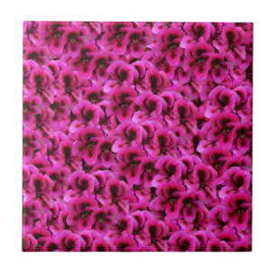 Azulejo "Belleza audaz: Flores rígidas de geranio magenta
