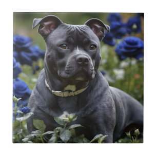 Azulejo "Belleza de Brindle Azul: un empalme en Rosas azul