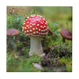 Azulejo Belleza de otoño