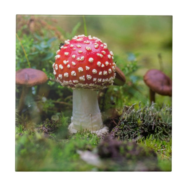 Azulejo Belleza de otoño (Frente)