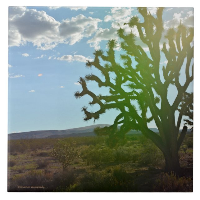 Azulejo Belleza del desierto (Frente)