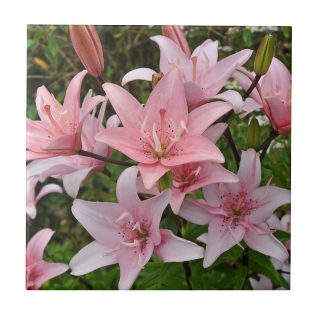 Azulejo Belleza floral de lirio rosa  (Frente)