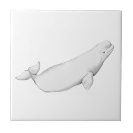 Azulejo Beluga Ilustracion de ballena Lover Regalo blanco