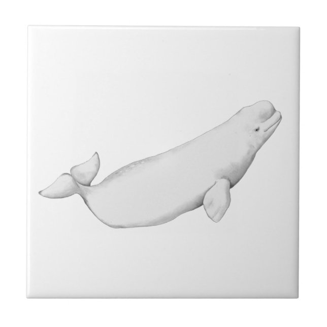 Azulejo Beluga Ilustracion de ballena Lover Regalo blanco (Frente)
