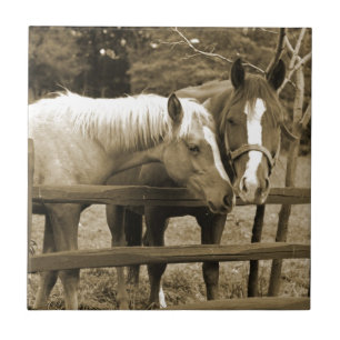 Azulejo Best Friends