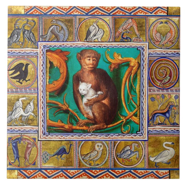 AZULEJO BESTIARIO MEDIEVAL, MONO Y GATO BLANCO, ANIMALES (Frente)