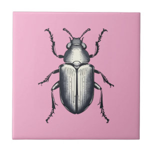 Azulejo Bétaro negro