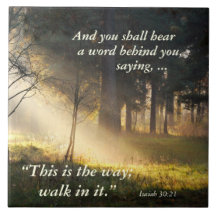 Biblia Verse Isaiah 30 Esta es la manera de entrar