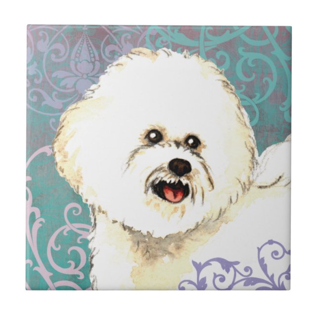Azulejo Bichon elegante Frise (Frente)
