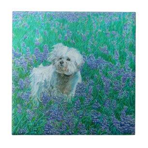 Azulejo Bichon Frise