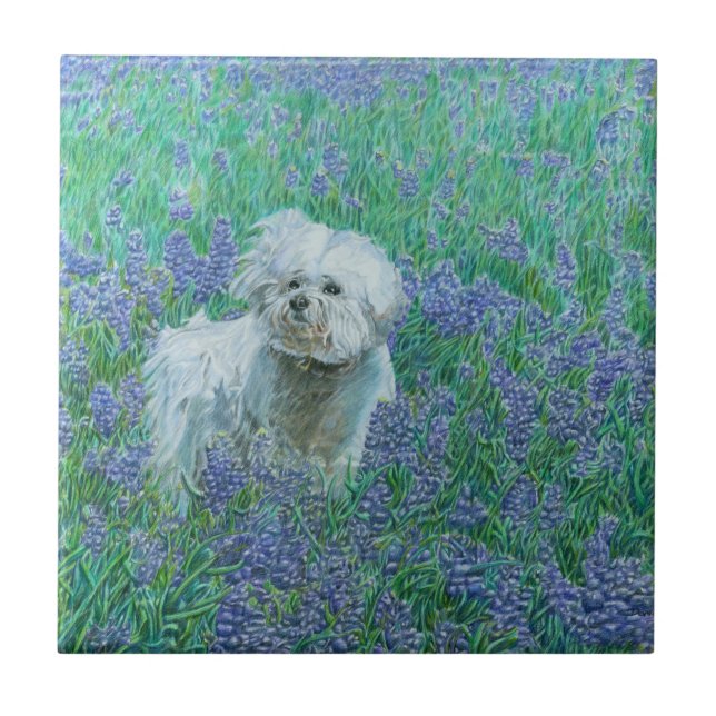 Azulejo Bichon Frise (Frente)