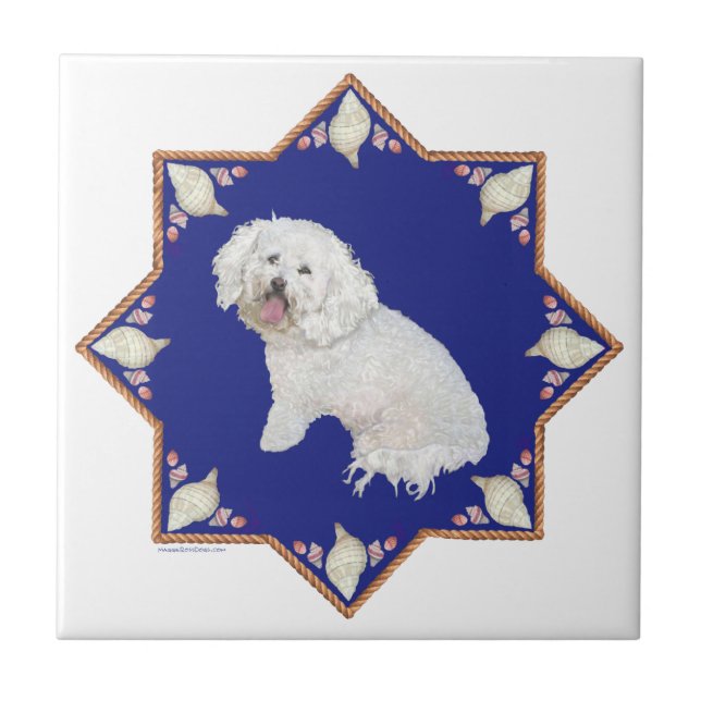 Azulejo Bichon Frise Náutico (Frente)