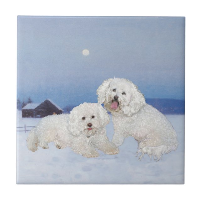 Azulejo Bichon Frise Tarde de Diciembre (Frente)