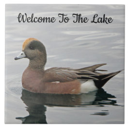 Azulejo Bienvenida Duck Photo Wigeon Calle Water Lake Hous
