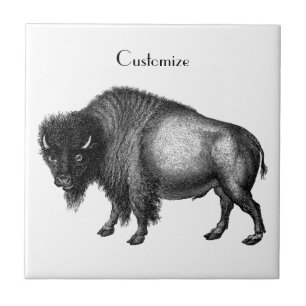 Azulejo Big Bison Buffalo Thunder_Cove