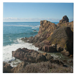 Azulejo Big Sur, Océano Pacífico