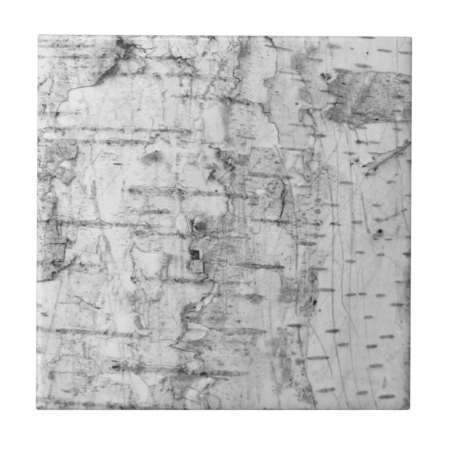 Azulejo Birch bark pattern ceramic tile (Frente)