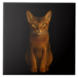 Azulejo Black 4 Luxe Tile with Abyssinian Beauty