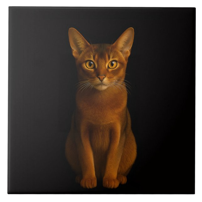 Azulejo Black 4 Luxe Tile with Abyssinian Beauty (Frente)