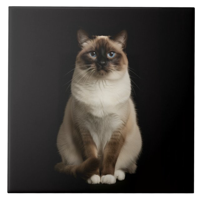 Azulejo Black 4 Luxe Tile with Birmanese Cat (Frente)