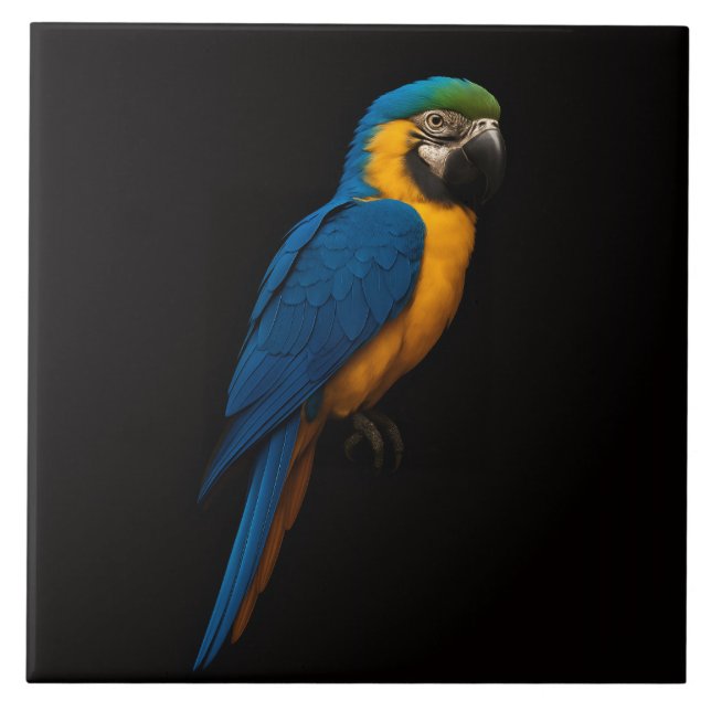 Azulejo Black 4 Luxe Tile with Blue Yellow Macaw (Frente)
