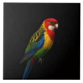 Azulejo Black 4 Luxe Tile with Eastern Rosella Parrot