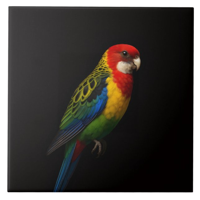 Azulejo Black 4 Luxe Tile with Eastern Rosella Parrot (Frente)