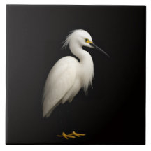 Black 4 Luxe Tile with Elegant Snowy Egret