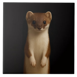 Azulejo Black 4 Luxe Tile with Elegant Weasel