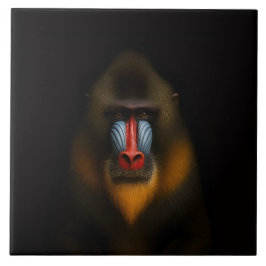 Azulejo Black 4 Luxe Tile with Exotic Mandrill Monkey