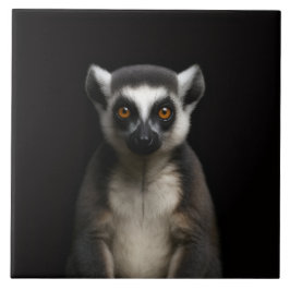 Azulejo Black 4 Luxe Tile with Gentle Lemur
