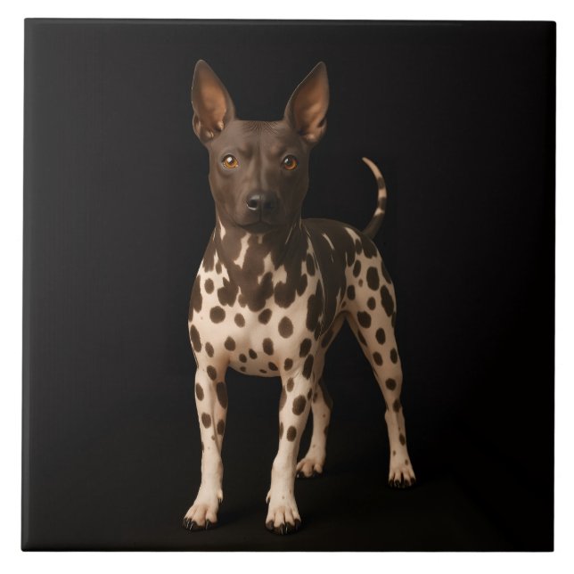 Azulejo Black 4 Luxe Tile with Hairless Terrier Dog (Frente)