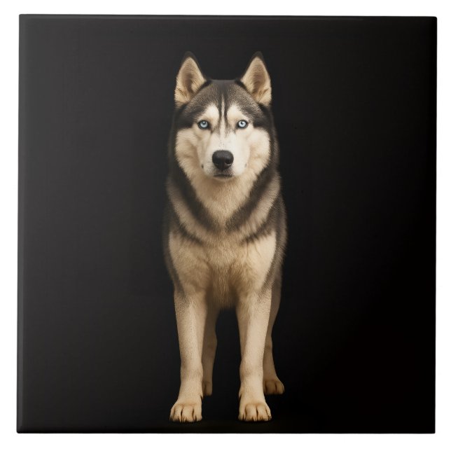 Azulejo Black 4 Luxe Tile with Icy Elite Husky (Frente)