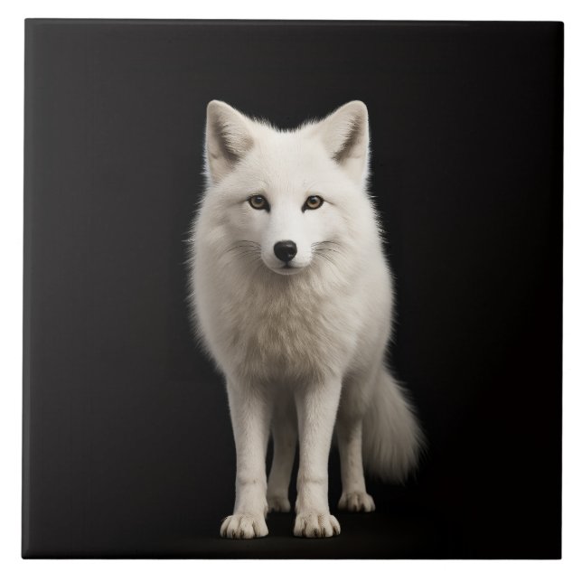 Azulejo Black 4 Luxe Tile with Ivory Arctic Fox (Frente)