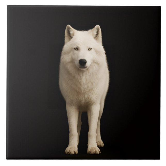 Azulejo Black 4 Luxe Tile with Ivory Arctic Wolf (Frente)