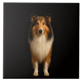 Azulejo Black 4 Luxe Tile with Loyal Collie Dog