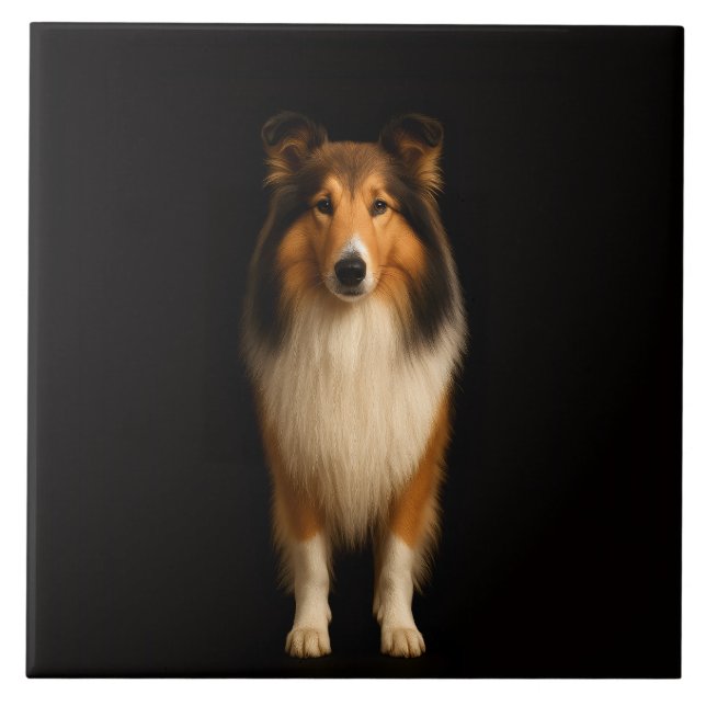 Azulejo Black 4 Luxe Tile with Loyal Collie Dog (Frente)