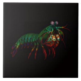 Azulejo Black 4 Luxe Tile with Mantis Shrimp