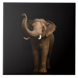Azulejo Black 4 Luxe Tile with Mighty Elephant